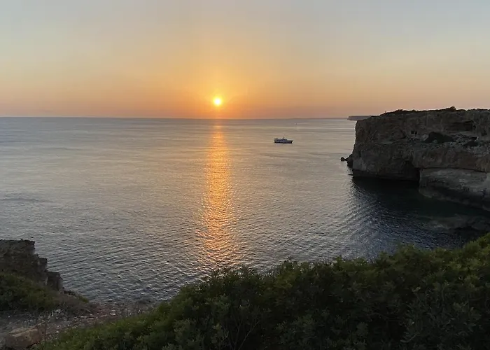 Jaume 10 * Es Canutells